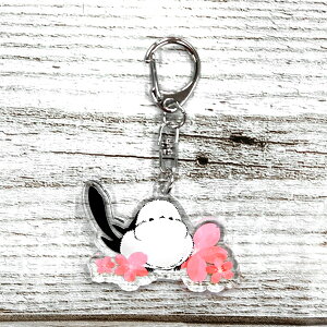 ANL[z_[ @ł܂@䂤pPbgΉ V}GiKspring2021 Ƃ  G ObY _CJbg iXJ 킢  t ANL[ L[`F[ `[ 