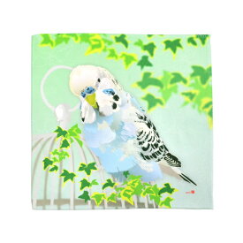 ハンドタオル ジャンボセキセイ ◆ゆうパケット対応◆ セキセイインコ ことり 小鳥 雑貨 グッズ 25×25cm 角型 マイクロファイバー 吸水速乾 イラスト かわいい おしゃれ キュート 鳥柄 リアルタッチ 水彩画タッチ 鳥かご クリエイティブモーション【とりアート】