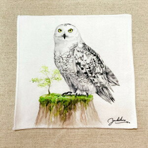 ʉnh^I tNE 䂤pPbgΉ  ӂ낤 Ƃ  G ObY 25×25cm p^ }CNt@Co[ z CXg   A^b` N[ 