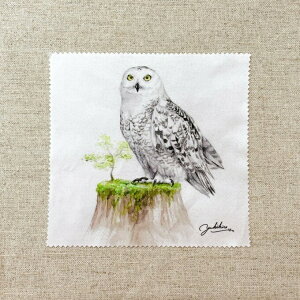 ʉ惁Kl@ tNE 䂤pPbgΉ  ӂ낤 Ƃ  G ObY 15×15 }CNt@Co[ z CXg   N[  o[h Aj} 