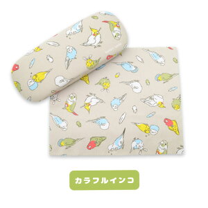 _lC}㏸^KlP[X V}GiK nVrRE IJ ZLZCCR NXt  G V}GiKObY ዾP[X q LN^[  [ ^  