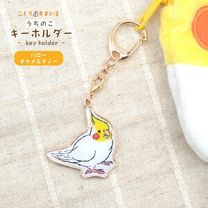 ̂L[z_[ 䂤pPbgΉ L[z_[ `[ ^`[ JjJ iXJ 2way 킢  IJCR ZLZCCR  V}GiK  obO`[