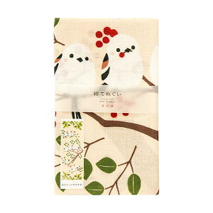 GĂʂ@Ȃ悵V}GiK@䂤pPbgΉ@Ƃ  G aG Ăʂ ʂ ^I nJ` C~ ~z CeA a V}GiKy_lz