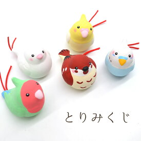 とりみくじ　◆◆　ことり 小鳥 おみくじ 占い 置物 インテリア フィギュア かわいい 雑貨 グッズ 御神籤 運だめし 鳥 セキセイインコ オカメインコ コザクラインコ 文鳥 白文鳥 スズメ 小さい 集める 素焼き インコ 野鳥 カラフル キュート 【リュウコドウ】