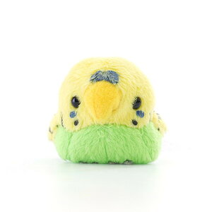 ʁ@ZLZCCRiO[j@G CeA ʂ }XRbg l` Aj} t@V[ TSTAhoXyj}z