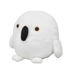 MTCY@tNEij@@G ʂ CeA   TSTAhoX ӂ낤 yj}z