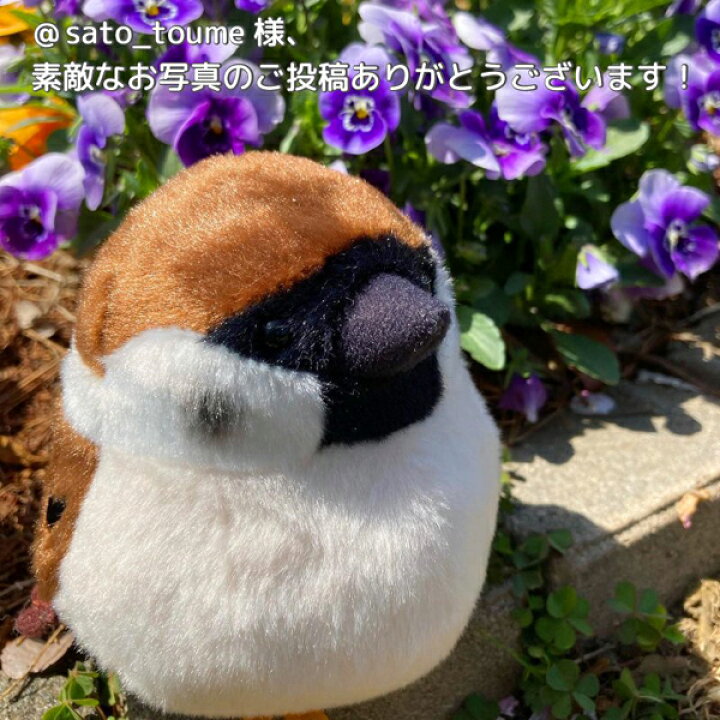 憧れ ことりカフェ シマエナガぬいぐるみ 1羽 セキグチ Materialworldblog Com
