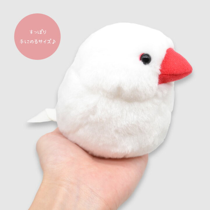 楽天市場】《数量限定セット》 白文鳥 ぬいぐるみ 限定ミニ巾着付き  