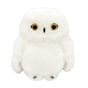 zCgtNEL ʂ݁@g ӂ낤  Ƃ  G ObY ӂӂ  킢  l` ʂB fBXvC CeA y肭̂Ȃ܂z