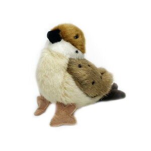 XY ʂ݁@g   쒹 Ƃ  G ObY ӂӂ  킢  l` ʂB fBXvC CeA y肭̂Ȃ܂z