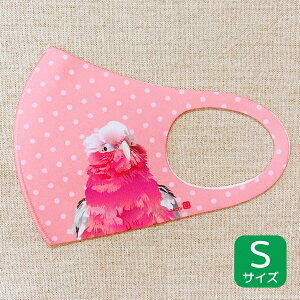 }XN STCY CCR 䂤pPbgΉ Ƃ  G ObY { R hL z UVJbg vg CXg 킢   hbg 􂦂 JԂg