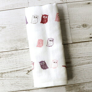 a@tFCX@ӂ낤@@G a ^I K[[^I CeA v[g 蕨 ӂ낤 tNE y_lz