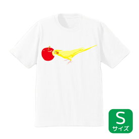 Tシャツ　★りんごとことりちゃん　《Sサイズ》　◆ゆうパケット対応◆　ことり 小鳥 ウェア Tシャツ トップス 洋服 服 半袖 オカメインコ【ことりちゃん】