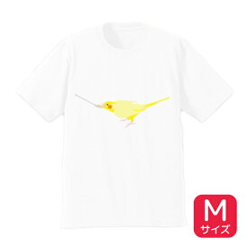 Tシャツ　★挿し餌のことりちゃん　《Mサイズ》　◆ゆうパケット対応◆　ウェア 洋服 ティーシャツ カットソー キャラT キャラクター 鳥 小鳥 オカメインコ インコ【ことりちゃん】