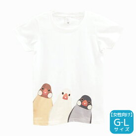 Tシャツ　SMILEBIRD　《文鳥》　★G-Lサイズ　ガールズ　女性向け　レディース　ウェア トップス 文鳥 白文鳥 桜文鳥 シナモン文鳥【BIRDSTORY】