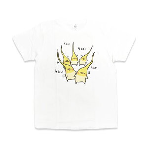  TVc  IJCR    TVc  zCg 100  CR 킢 v[g Mtg EFA  fUC LN^[ fB[X  