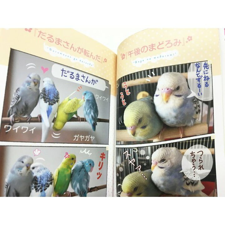 楽天市場 誠文堂新光社 漫画で楽しむ だからやめられないインコ生活 書籍 クリックポスト対応 小鳥グッズ 小鳥雑貨 本 Book 漫画 コミック ペット オカメインコ セキセイインコ コザクラインコ ボタンインコ マメルリハ Exceedjapan