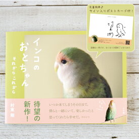 楽天市場 コザクラインコ シーグリーンの通販 楽天市場 コザクラインコ シーグリーンの通販