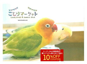 IWi uo[h 䂤pPbgΉ RUNCR {^CR Ƃ  G ObY 50 ㎿ p^  킢  ʐ^ tHg photo ` 莆 