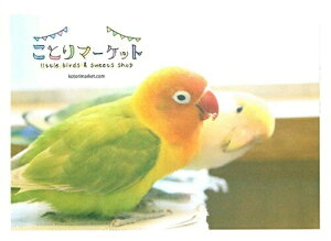 IWi uo[h 䂤pPbgΉ RUNCR {^CR Ƃ  G ObY 50 ㎿ p^  킢  ʐ^ tHg photo ` 莆 