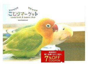 IWi uo[h 䂤pPbgΉ RUNCR {^CR Ƃ  G ObY 50 ㎿ p^  킢  ʐ^ tHg photo ` 莆 