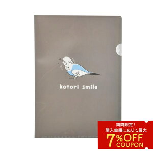 A4NAt@C JtCR 䂤pPbgΉ CR Ƃ  G ObY A4TCY ^e  CXg 킢  NAz_[ ޓ vg Xe[V