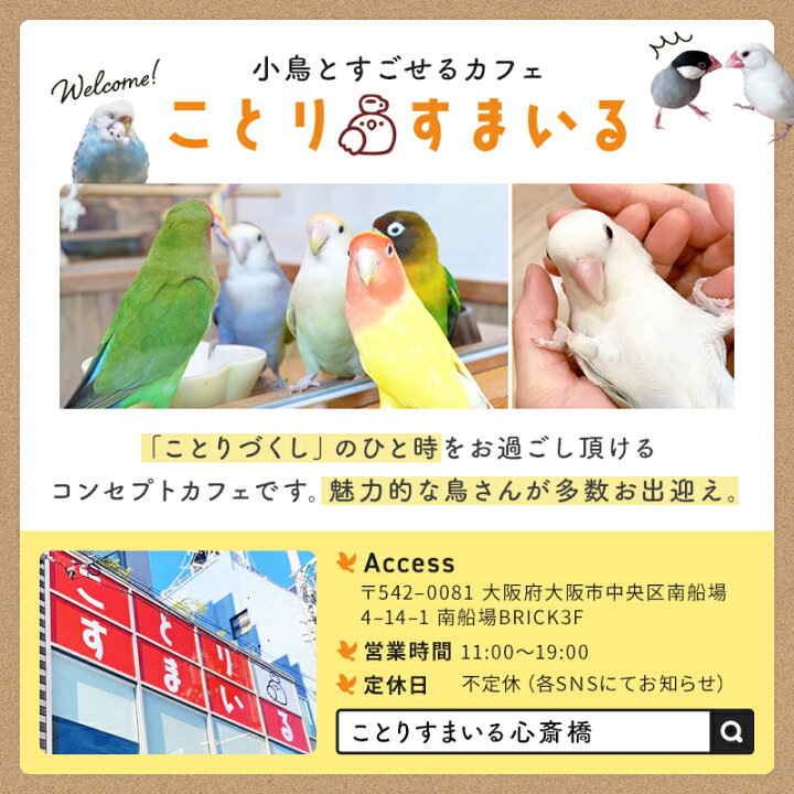 シマエナガ すずめ インコ 7個セット