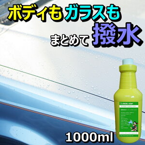  ԃObY J[R[eBO RfBVi[ 1000ml KX ԗpi o Ɩp J[pi ԗpi  R[eBO KX R[eBO  KXR[eBO 