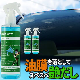 車 洗車グッズ 洗車用品 窓ガラス クリーナー 業務用 250ml 3本セット 拭き取り用クロス付き 車 ウィンドウ 油膜 汚れ 洗浄 クリーン キレイ カー用品 スベスベ 車用品 洗車 メンテナンス 窓ガラスクリーナー ウインドウ クリーナー 窓