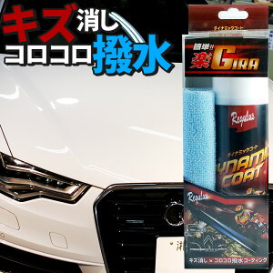 傷 車ガラス 車ガラス用品 通販 価格比較 価格 Com