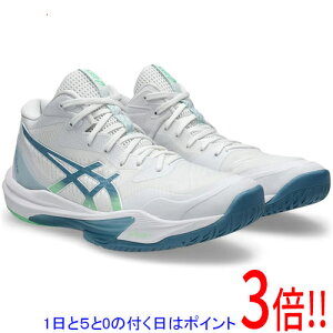 �y1����5.0�̂����A18���̓|�C���g3�{�I�zasics �A�V�b�N�X 25.5cm �o���[�{�[���V���[�Y SKY ELITE FF MT 3 1051A081 �z���C�g/�T�o �u���[