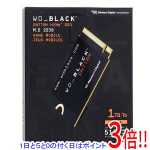 y15.0̂A18̓|Cg3{IzWestern Digital SSD WD_Black SN770M NVMe SSD WDS100T3X0G 1TB