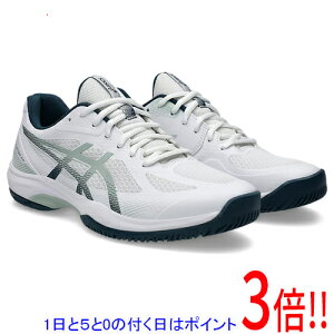 �y1����5.0�̂����A18���̓|�C���g3�{�I�zasics �A�V�b�N�X 28.0cm �o�h�~���g���V���[�Y COURT HUNTER FF 1071A111 �z���C�g/���b�P�� ���b�N
