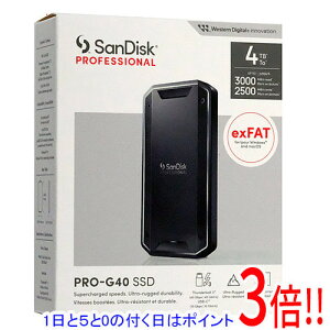y15.0̂A18̓|Cg3{IzSanDisk Professional PRO-G40 SSD SDPS31H-004T-GBC1D 4TB ubN