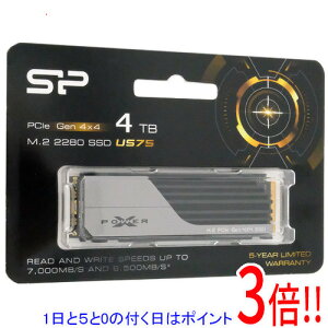 y15.0̂A18̓|Cg3{IzSilicon Power M.2 SSD 4TB PCIe Gen 4x4 US75 SP04KGBP44US7505