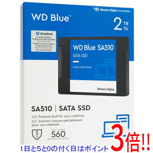 �y1����5.0�̂����A18���̓|�C���g3�{�I�zWestern Digital�� SSD WD Blue SA510 SATA WDS200T3B0A-EC 2TB