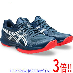 �y1����5.0�̂����A18���̓|�C���g3�{�I�zasics �A�V�b�N�X 27.5cm �n���h�{�[���V���[�Y POWERBREAK FF 1071A101 �}�R �u���[/�z���C�g