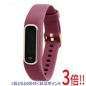 【1日と5.0のつく日、18日はポイント3倍！】【中古】GARMIN vivosmart 4 レギュラー 010-01995-61 Merlot RoseGold 訳あり 元箱あり