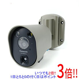 【いつでも2倍！1日と5．0のつく日は3倍！18日も3倍！】Panasonic センサーライト付屋外ワイヤレスカメラ 電源直結式 VL-WD813X