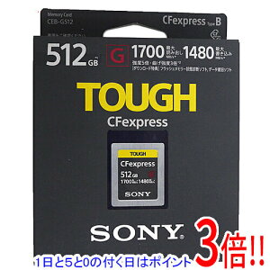 ył2{I5.0̂A183{IzSONY CFexpress Type B[J[h 512GB CEB-G512