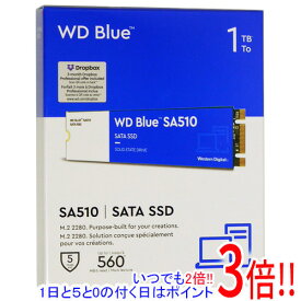 【いつでも2倍！1日と5．0のつく日は3倍！18日も3倍！】Western Digital製 SSD WD Blue SA510 SATA WDS100T3B0B 1TB