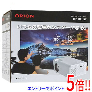 yۏؑΉ!!zORION er`[i[tvWFN^[ OP-1001W