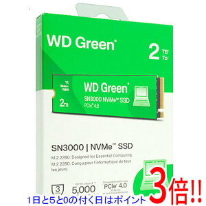 �y1����5.0�̂����A18���̓|�C���g3�{�I�zSANDISK WD Green SN3000 NVMe SSD WDS200T4G0E 2TB