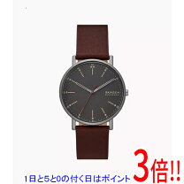 楽天市場】スカーゲン skw6066の通販