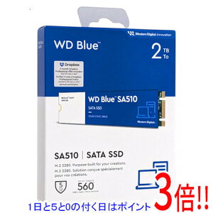 �y1����5.0�̂����A18���̓|�C���g3�{�I�zSandisk WD Blue SA510 SATA WDS200T3B0B 2TB