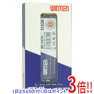 �y1����5.0�̂����A18���̓|�C���g3�{�I�zWINTEN �����^SSD WTM2-SSD-512GB 512GB