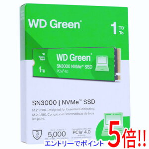 yGg[5{I11/04 20:00`11/11 01F59܂ŁIzWestern Digital SSD WD Green SN3000 NVMe SSD WDS100T4G0E 1TB