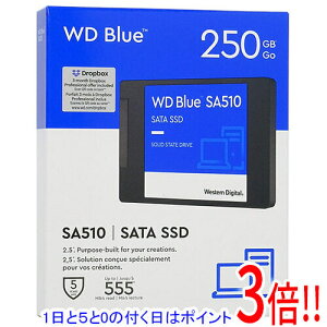 �y1����5.0�̂����A18���̓|�C���g3�{�I�zWestern Digital SSD WD Blue SA510 SATA WDS250G3B0A-EC 250GB