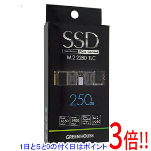 �y1����5.0�̂����A18���̓|�C���g3�{�I�z�O���[���n�E�X SSD M.2 Type 2280 GH-SSDRMPB250 250GB