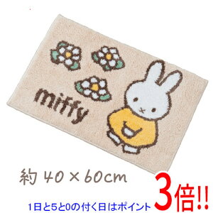 y15.0̂A18̓|Cg3{IzZR[ oX}bg Mtg ~btB[Ԃ̓ 40×60cm 58344 x[W